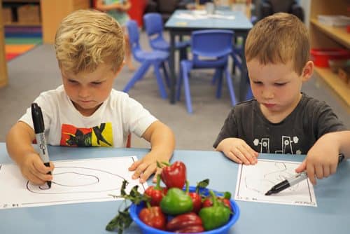 Drawing our produce