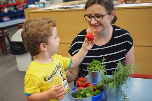 Exploring our produce