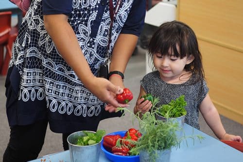 Sharing what we grew